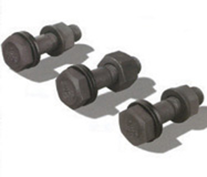 2025新澳门原料免费历史记录