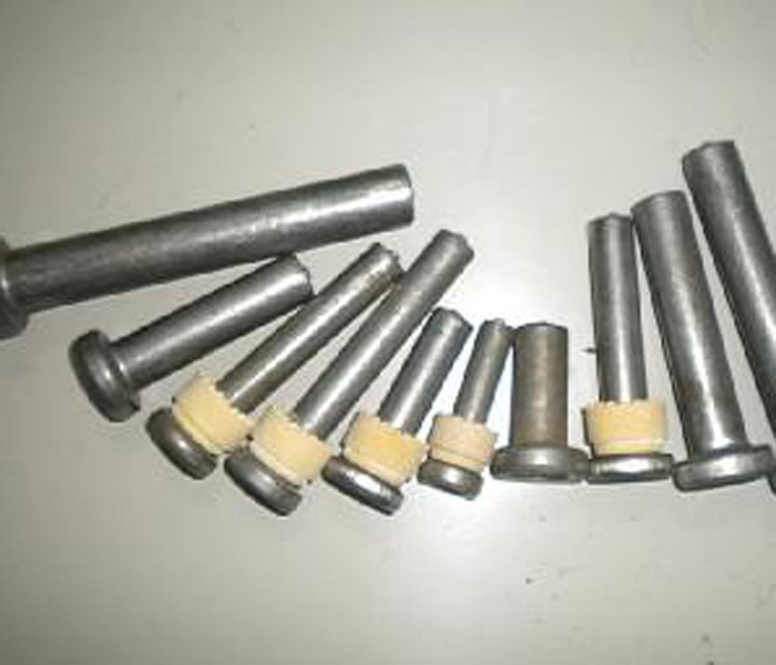 2025新澳门原料免费历史记录